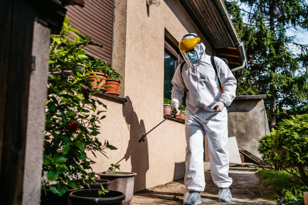 Best Best Pest Control Companies  in Baltic, CT