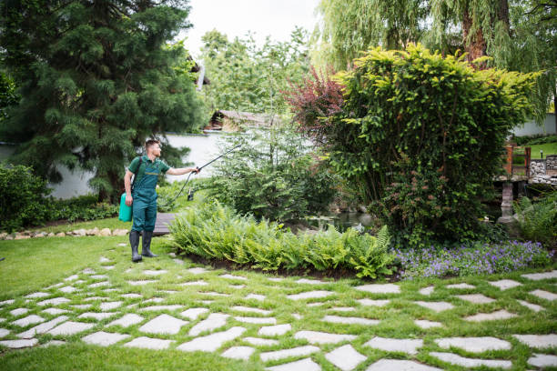 Best Best Pest Control Companies  in Baltic, CT
