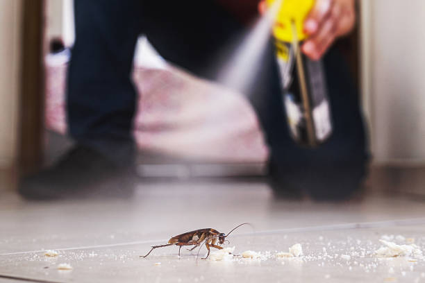 Best Wildlife Control Services  in Baltic, CT
