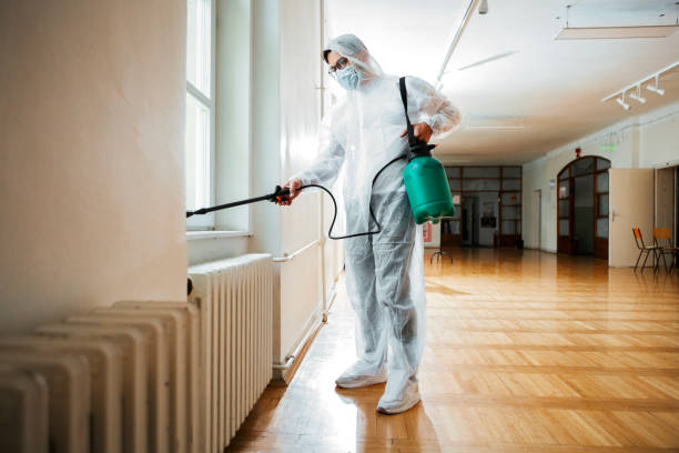 Reliable Baltic, CT Pest Control Solutions