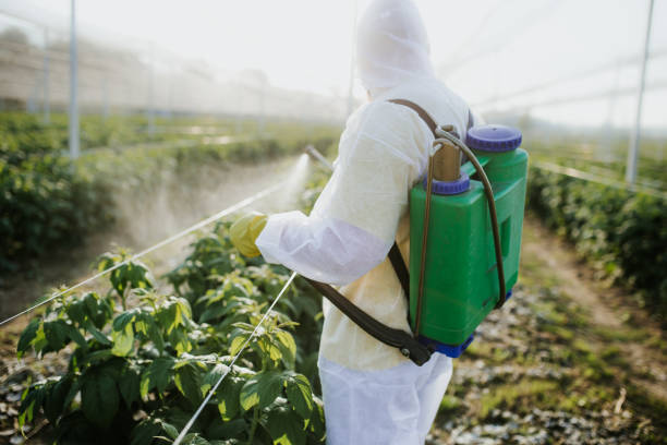 Best Residential Pest Control  in Baltic, CT